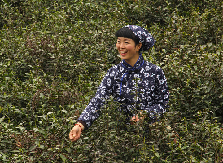 韩国女主播在线 评分